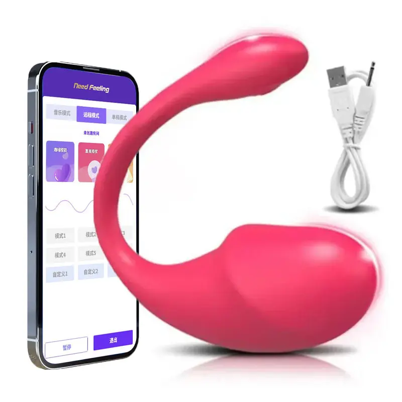 APP Single Control Egg Bullet Vibrator